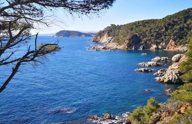 Apartamento con piscina L' Áncora - Foto 36