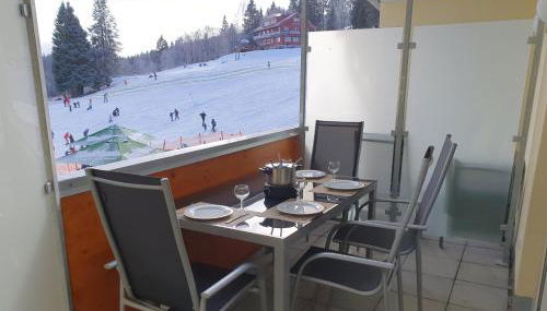 Enjoy Ferienwohnung Feldberg Grafenmatt - Foto 4