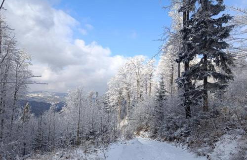 Makowy domek - Foto 50