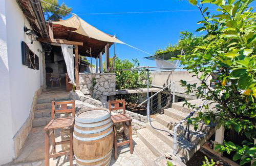 Robinson Merlot - Foto 9