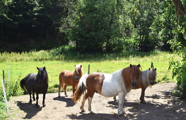 Wohnung mit Eigener Terrasse in Huddinge - Foto 12