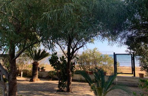 Da Paolo e Lilli - Foto 13