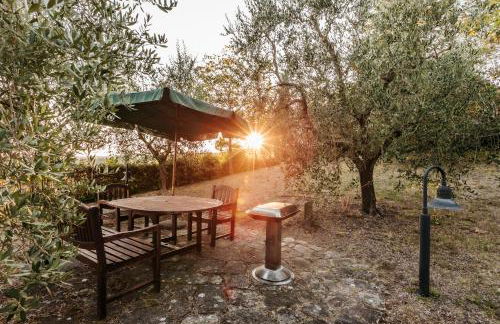 Borghetto Il Poggiolo Mugello - Affitti Brevi Italia - Foto 21