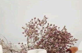Semelli - Foto 20