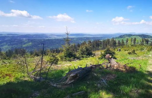 Słoneczny apartament blisko jeziora i gór - Foto 37