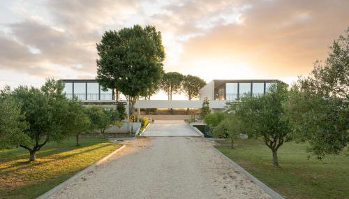 Villa Albina & Domenica - Foto 3, Garden