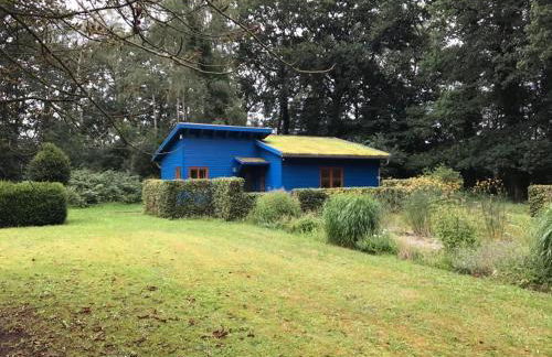 Das Blaue Haus - Foto 1