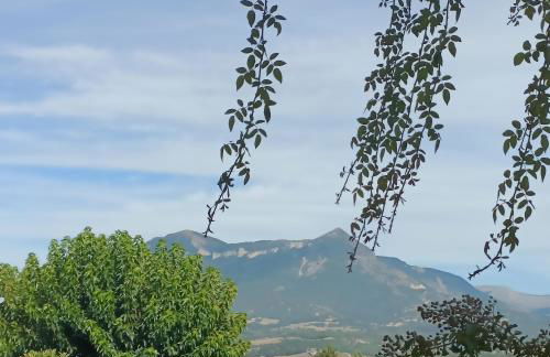 Le jardin de Nigelle , Bas De Villa En Provence - Foto 31