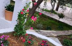 Villa Alex - Foto 78