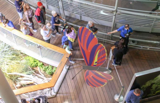 California Academy of Sciences Ticket - Photo 7