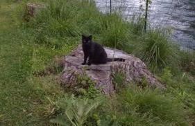 Agriturismo Cascina Poscallone - Photo 37