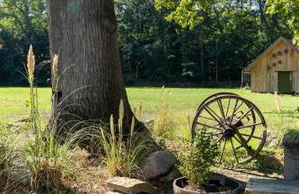 Eiche - Ferienwohnung in Dötlingen mit Waldblick - Foto 27
