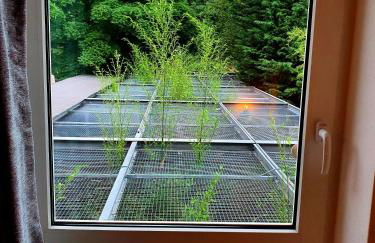 Papageiennest - Foto 15