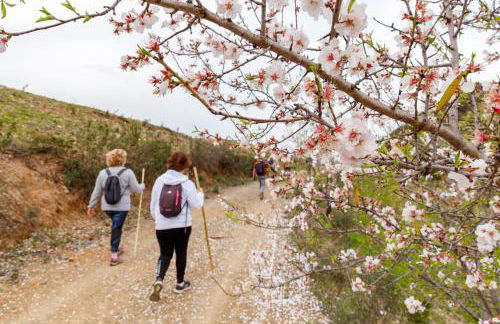 Casa Cecilia Apartment Algarve - Foto 26