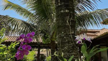 Casa Pomar do Aconchego - Foto 5