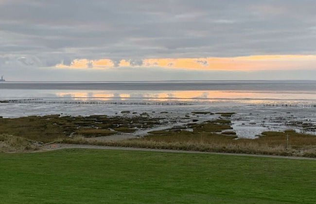 Blauort in Friedrichskoog-spitze - Foto 14