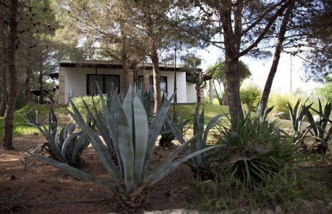 Tenuta Terenzano - Photo 40