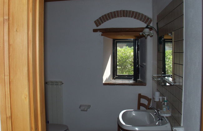 Codavolpe Giardino di Tea - Foto 18