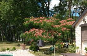 Maison de charme - 4 étoiles - Moulin de la serrée - Foto 31