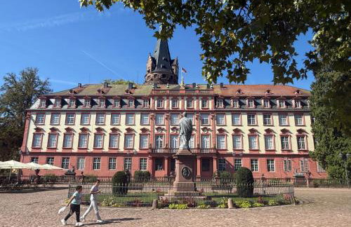 Zur Traube - grün - Foto 41