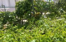 Studio apartment Sfinga - Photo 23