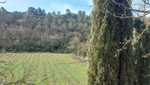 Bel appartement domaine viticole - Photo 2