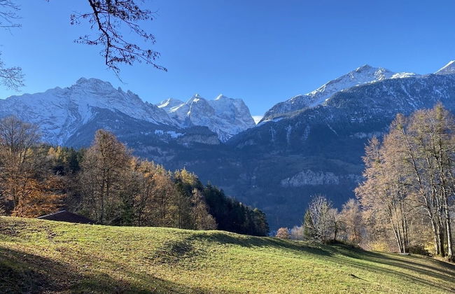 Spring Inn Apartments - Foto 52