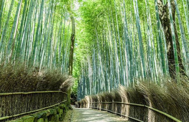 MIMARU SUITES Kyoto Central - Foto 49