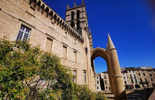 Appartement cosy cœur historique de Montpellier - Foto 14