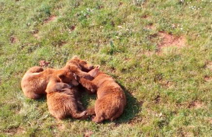 La Casa de Consuelo 3 - Foto 59