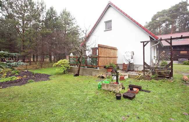 Waldblick Forest Retreat - Photo 30