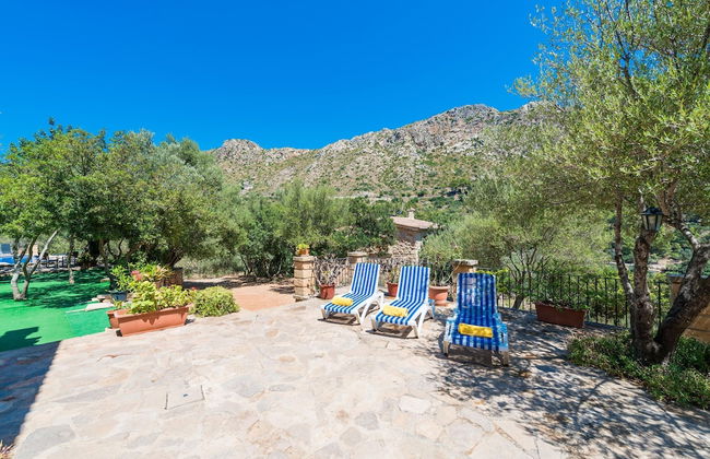 Sa Tarongera in Andratx - Foto 27