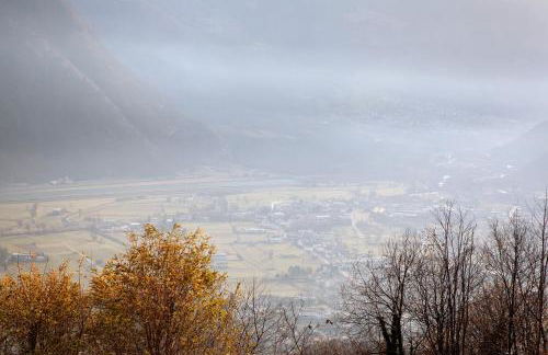 Oasi Alpina - Foto 6