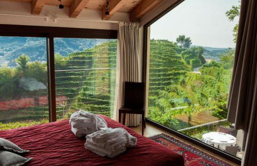 Agriturismo due Carpini - Foto 38