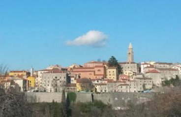 Home Lotus Flower - Foto 15