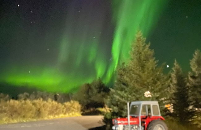 Laugavellir House and Tower Suite - Foto 69