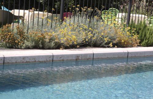 La Lepre Bianca - Foto 23