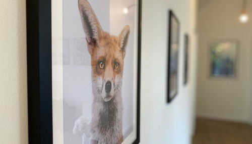 Ferienwohnung Köhler - Foto 4, Other