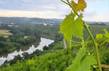Ferienwohnung Schöne Aussicht - Foto 29