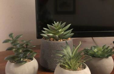 La casa della sirena - Foto 15