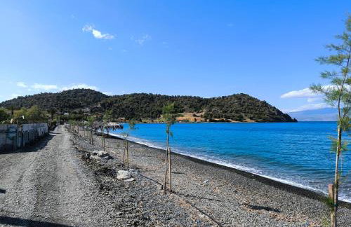 Palm tree house by the beach - Foto 63