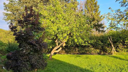 Ferienwohnung Schwarzhof Hahnekräh am Bostalsee - Foto 4, Garden