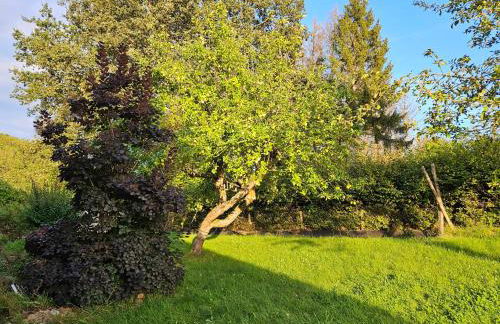Ferienwohnung Schwarzhof Hahnekräh am Bostalsee - Foto 4