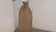 Chic 'N Charme Trastevere Terrace 2 - Foto 4