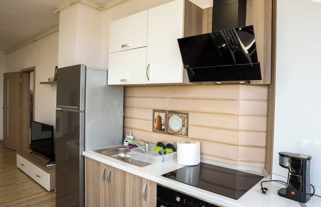 Apartment La Ciobanu - Foto 10