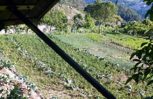 Family Secrets Douro - Foto 25