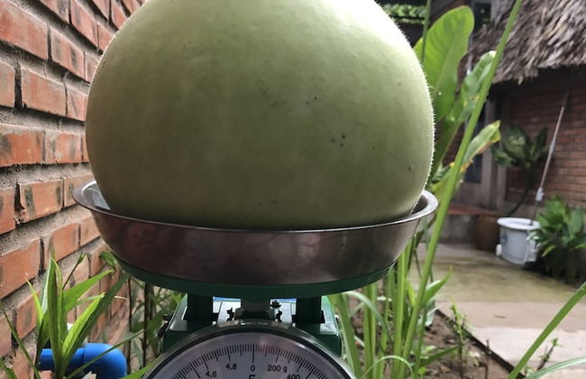 Bau Bi Mini Farmstay Mekong - Tien Giang - Foto 32