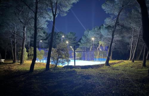 Mas, Padel privé, tennis privé, piscine 22m , Alpilles Provence - Foto 1
