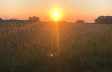 Entire Cosy bungalow close to Beach - Foto 13