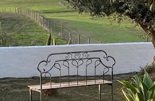 Canto da Planície - Foto 52